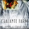 GALANTE FARM