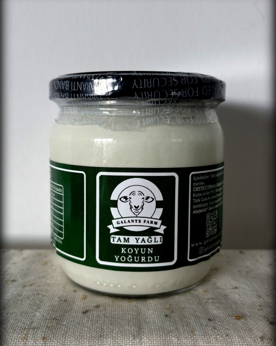 KOYUN YOĞURT 400 Gr