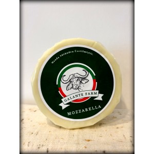 MANDA MOZZERELLA PEYNİR 