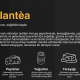 GALANTEA