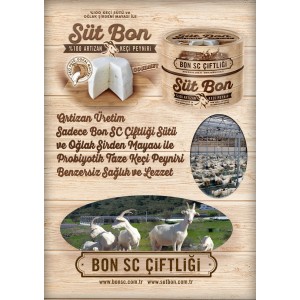 SutBon Artizan Taze Keçi Peyniri
