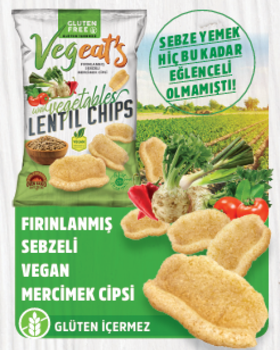 VEGEATS SEBZELİ MERCİMEK CİPSİ